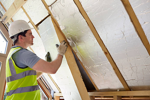 Best Geographic-Specific Insulation Services in Midlothian, VA